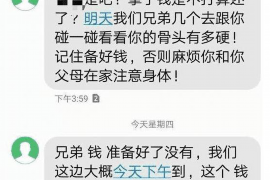 洛阳为什么选择专业追讨公司来处理您的债务纠纷？